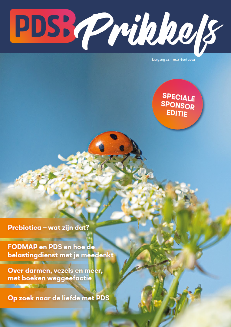 afbeelding voorkant magazine Prikkels juni 2024