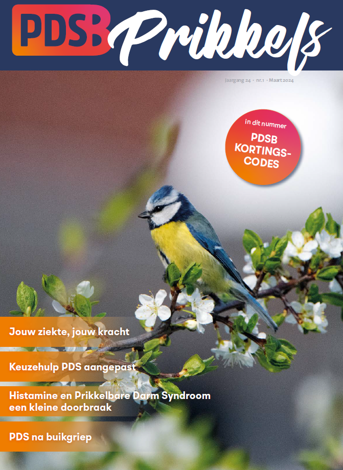 afbeelding voorkant magazine Prikkels maart 2024